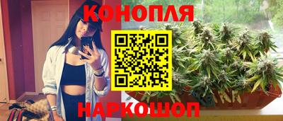 PSILOCYBIN Аргун