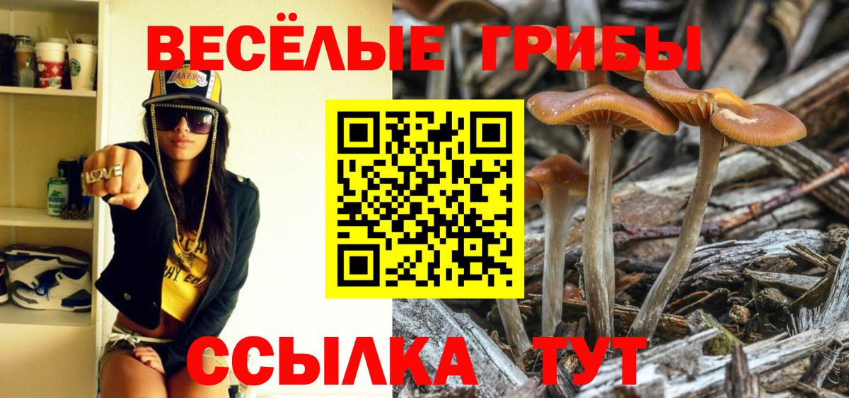 Галлюциногенные грибы Psilocybe Баксан