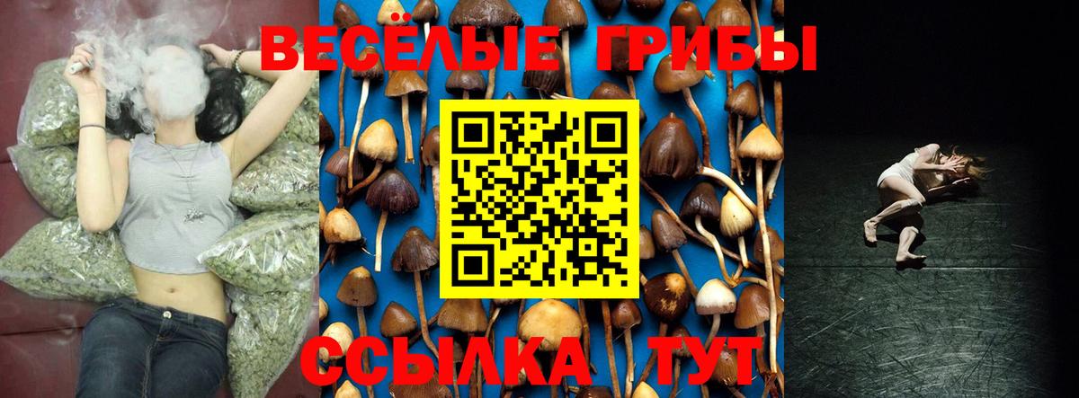 Галлюциногенные грибы Psilocybine cubensis  Вход с VPN  Баксан 